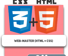 Web-master (HTML + CSS) - Programming for children in Hallandale Beach